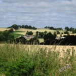 DSC09178