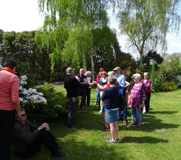 jardin d'Henri (10)