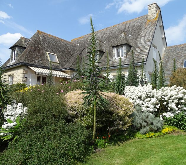 jardin d'Henri (11)