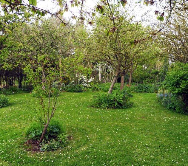 jardin d'Henri (14)