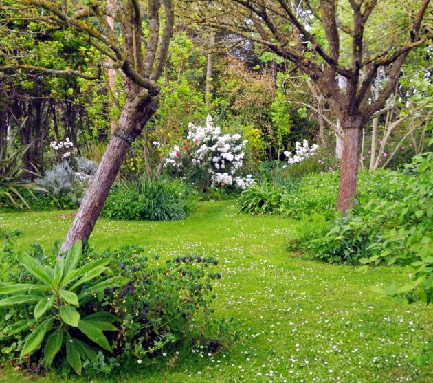 jardin d'Henri (16)