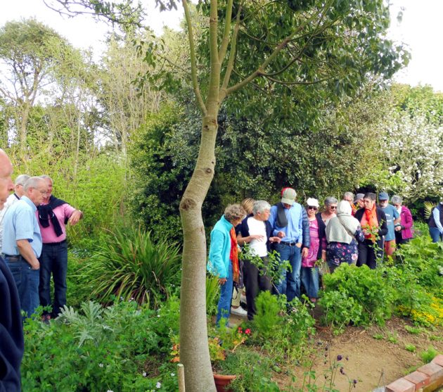 jardin d'Henri (17)