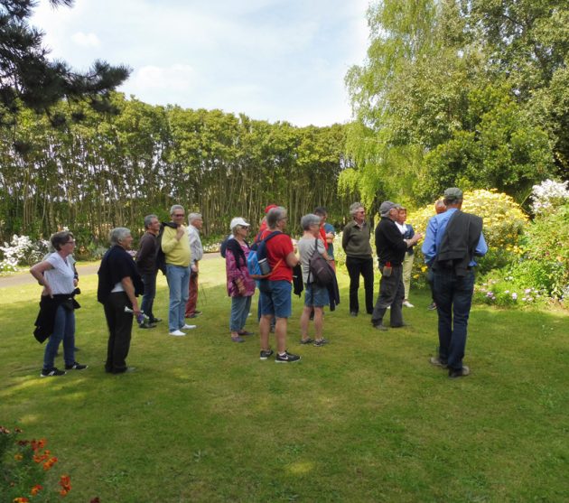 jardin d'Henri (7)