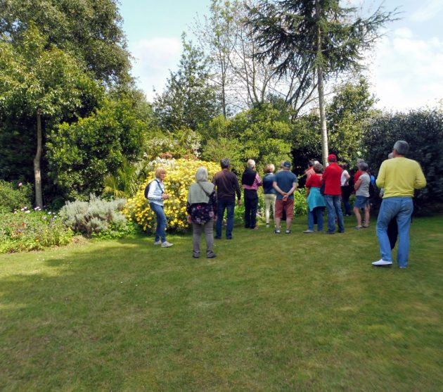 jardin d'Henri (8)