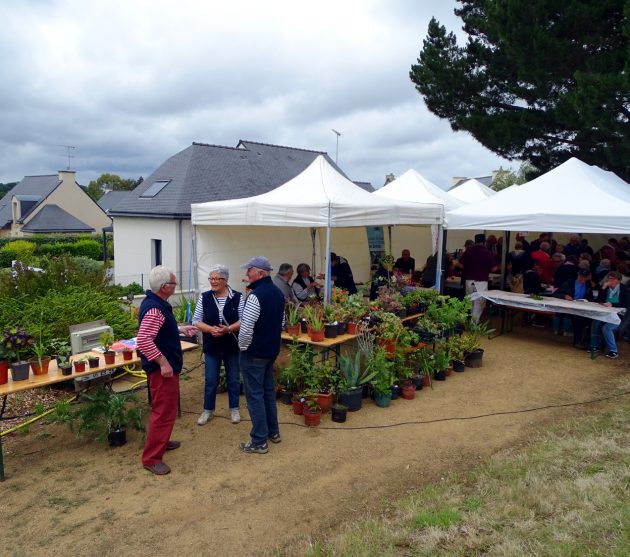 Fête du Moulin 2019 Plantes