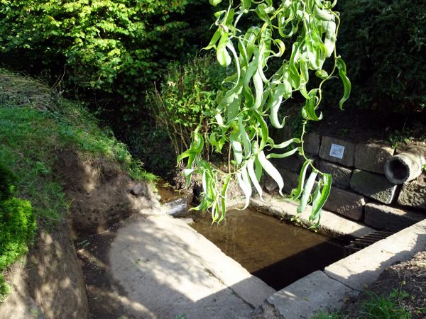 Lavoir de la Berzeoué (8)