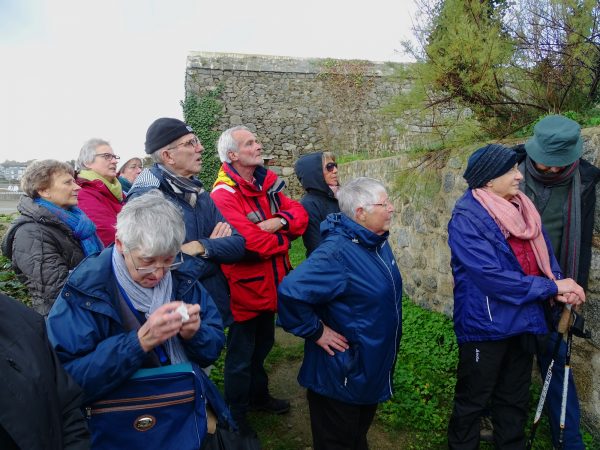 DSC05546